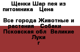 Щенки Шар пея из питомника › Цена ­ 25 000 - Все города Животные и растения » Собаки   . Псковская обл.,Великие Луки г.